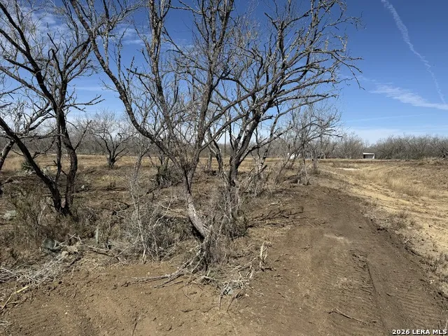 105 SYLAS HAYES LOOP Pleasanton, TX 78064