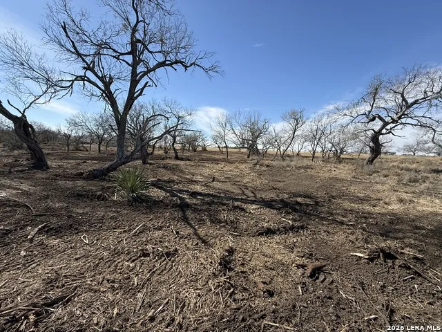 105 SYLAS HAYES LOOP Pleasanton, TX 78064
