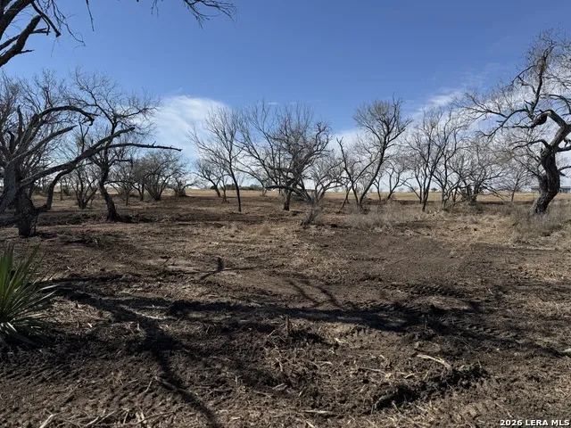 105 SYLAS HAYES LOOP Pleasanton, TX 78064