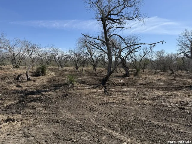 105 SYLAS HAYES LOOP Pleasanton, TX 78064