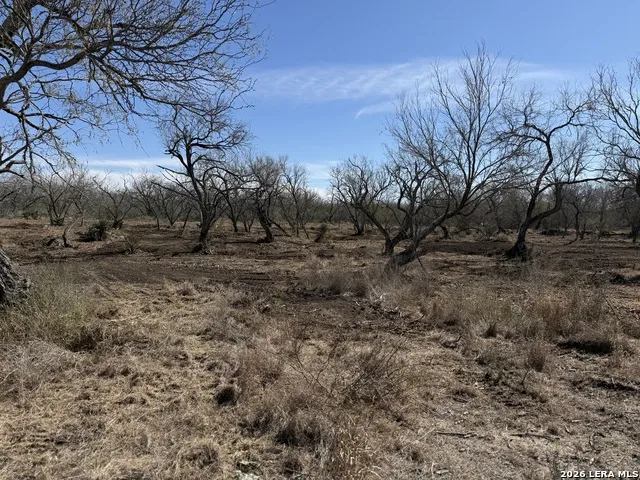 105 SYLAS HAYES LOOP Pleasanton, TX 78064