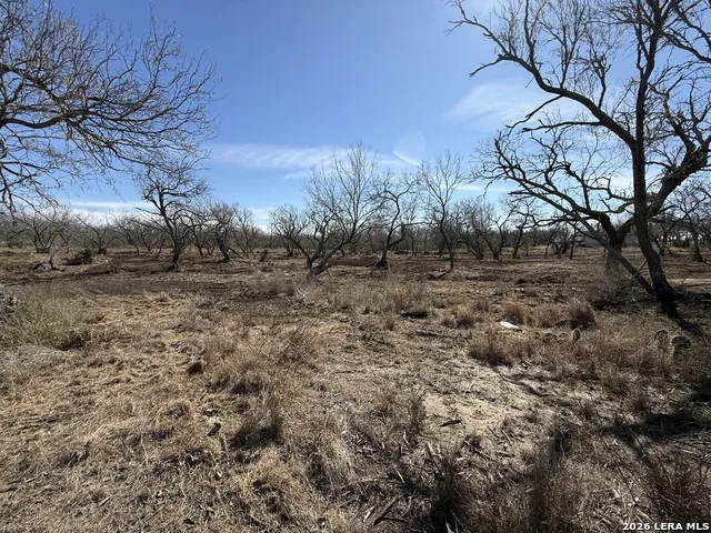 105 SYLAS HAYES LOOP Pleasanton, TX 78064