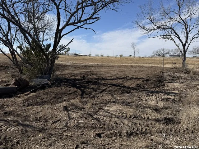 105 SYLAS HAYES LOOP Pleasanton, TX 78064