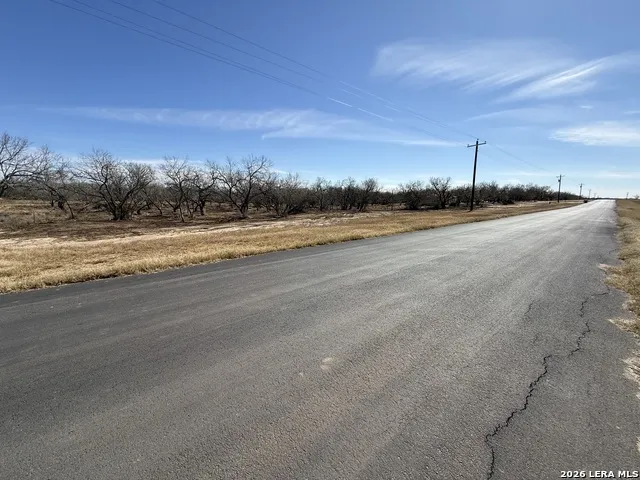 105 SYLAS HAYES LOOP Pleasanton, TX 78064