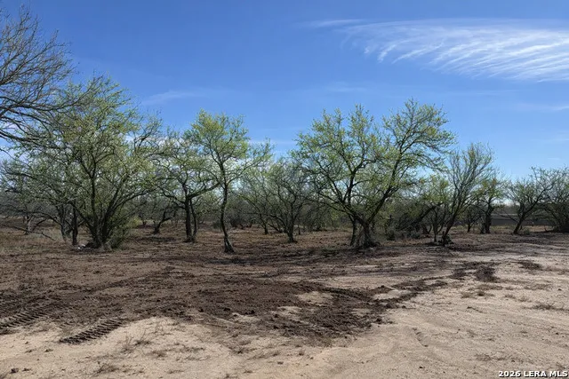 105 SYLAS HAYES LOOP Pleasanton, TX 78064