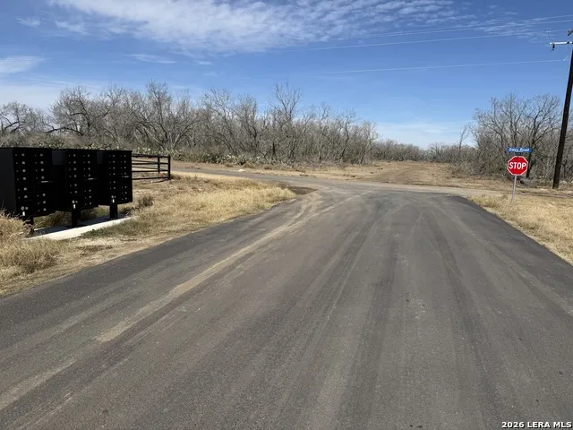 105 SYLAS HAYES LOOP Pleasanton, TX 78064