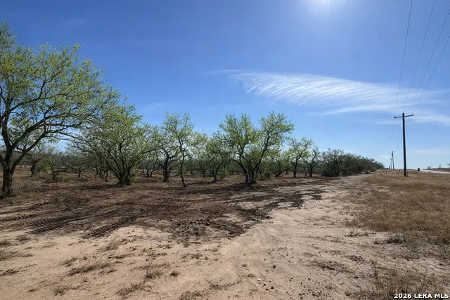 105 SYLAS HAYES LOOP Pleasanton, TX 78064