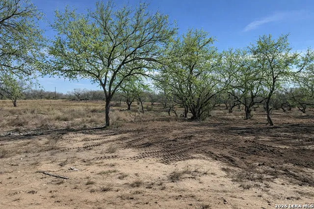 105 SYLAS HAYES LOOP Pleasanton, TX 78064