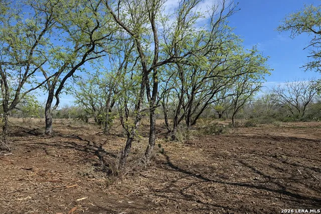 105 SYLAS HAYES LOOP Pleasanton, TX 78064