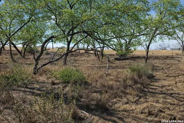 105 SYLAS HAYES LOOP Pleasanton, TX 78064