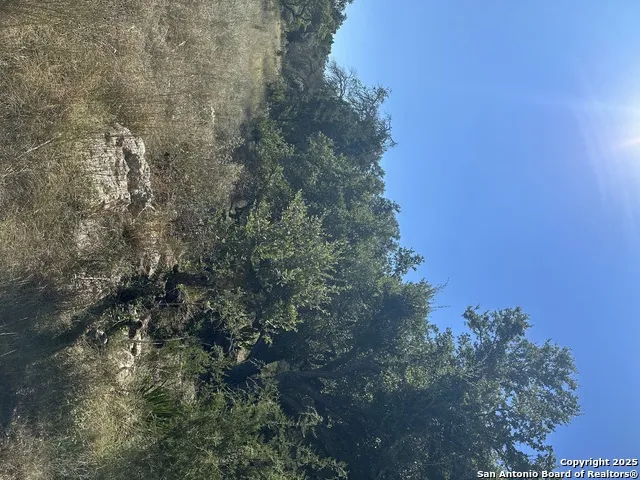 132 Lexington Canyon Lake, TX 78133