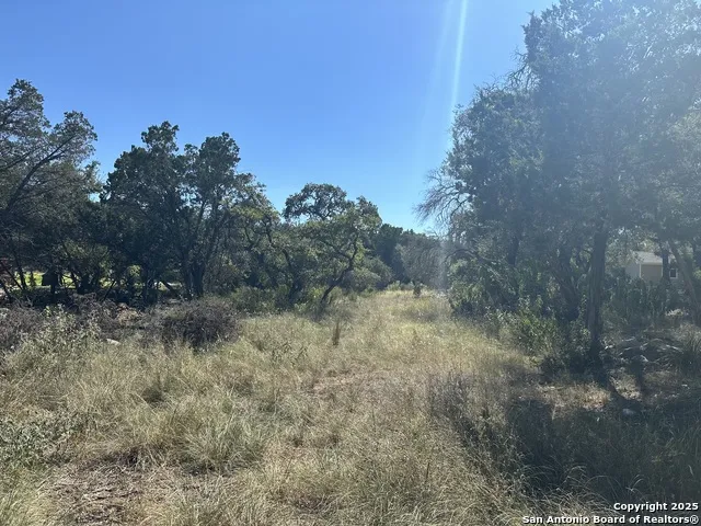 132 Lexington Canyon Lake, TX 78133
