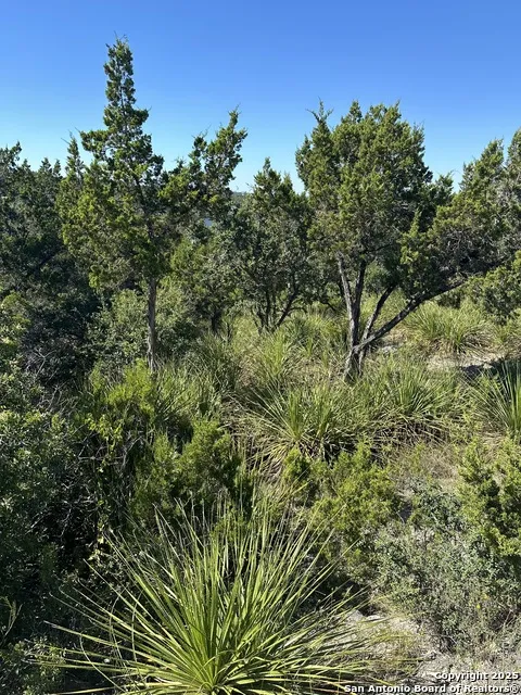 593 Ledgeview Canyon Lake, TX 78133