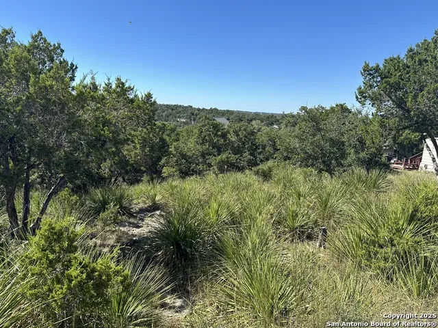 593 Ledgeview Canyon Lake, TX 78133
