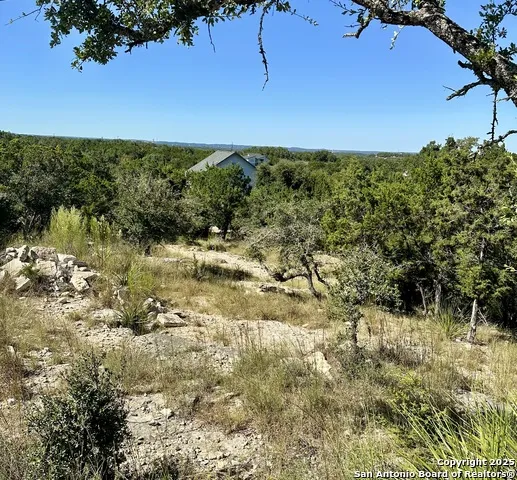 593 Ledgeview Canyon Lake, TX 78133
