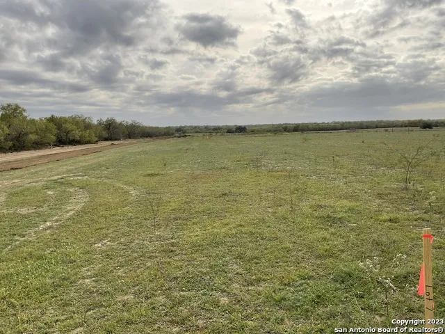 128 SYLAS HAYES LOOP Pleasanton, TX 78064