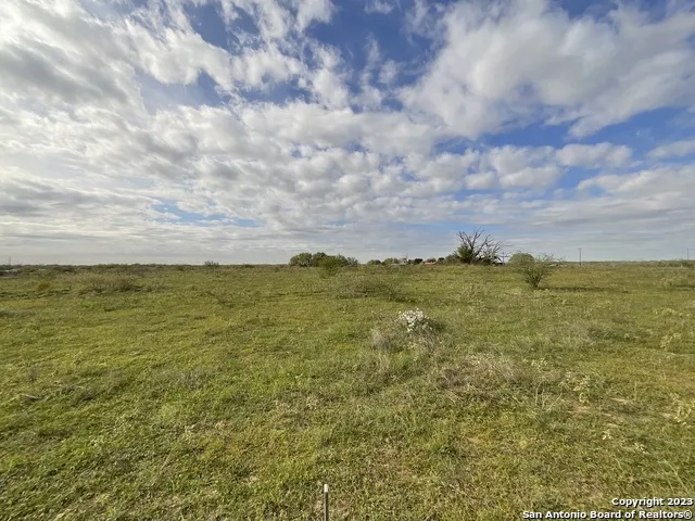 128 SYLAS HAYES LOOP Pleasanton, TX 78064
