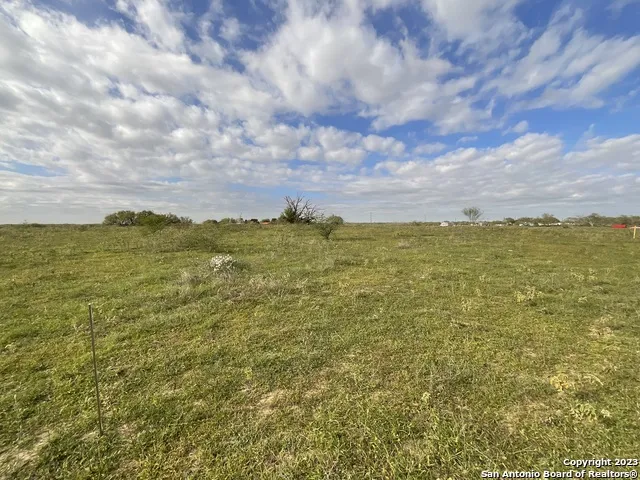 128 SYLAS HAYES LOOP Pleasanton, TX 78064