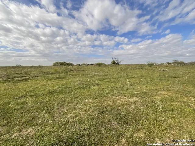 128 SYLAS HAYES LOOP Pleasanton, TX 78064