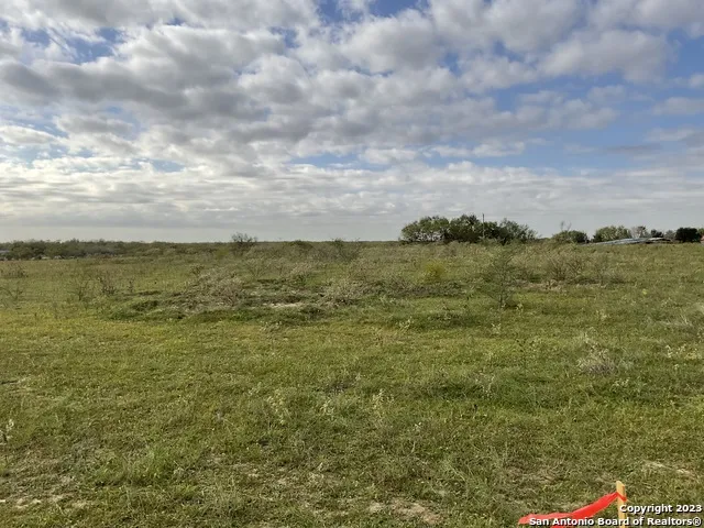 128 SYLAS HAYES LOOP Pleasanton, TX 78064