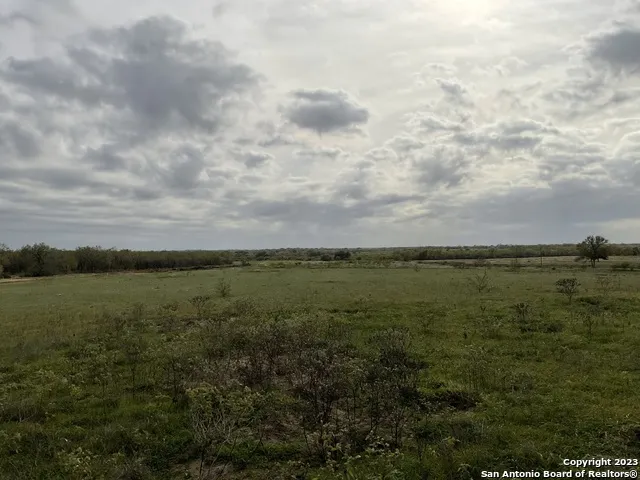 128 SYLAS HAYES LOOP Pleasanton, TX 78064