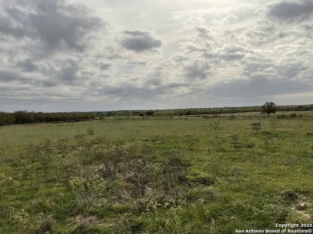 128 SYLAS HAYES LOOP Pleasanton, TX 78064