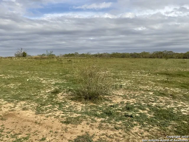 128 SYLAS HAYES LOOP Pleasanton, TX 78064