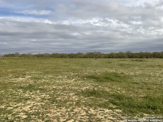 128 SYLAS HAYES LOOP Pleasanton, TX 78064