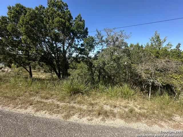 605 Ledgeview Canyon Lake, TX 78133