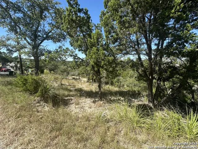605 Ledgeview Canyon Lake, TX 78133