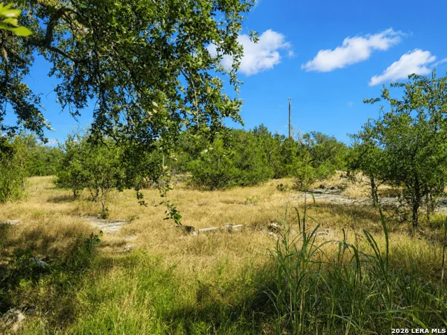 735 Horseshoe Track Spring Branch, TX 78070