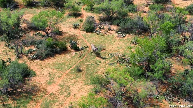1365 Ranch Road 6252B Laredo, TX 78045