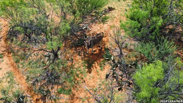1365 Ranch Road 6252B Laredo, TX 78045