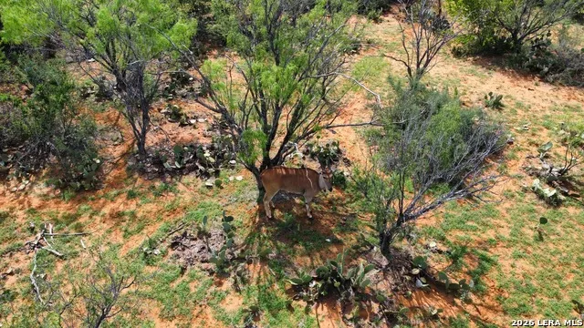 1365 Ranch Road 6252B Laredo, TX 78045