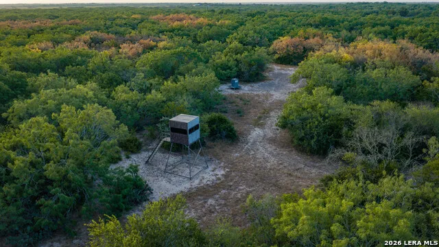 5775 County Road 308 Orange Grove, TX 78373
