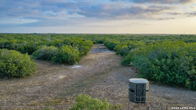 5775 County Road 308 Orange Grove, TX 78373