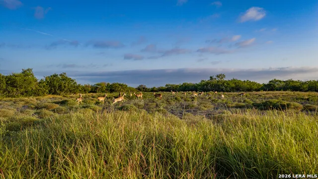 5775 County Road 308 Orange Grove, TX 78373