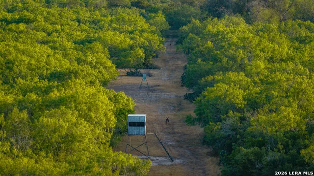 5775 County Road 308 Orange Grove, TX 78373