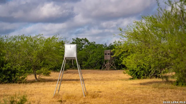 5775 County Road 308 Orange Grove, TX 78373