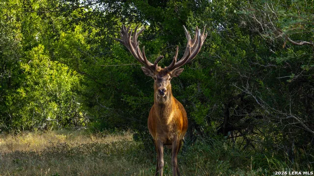 5775 County Road 308 Orange Grove, TX 78373
