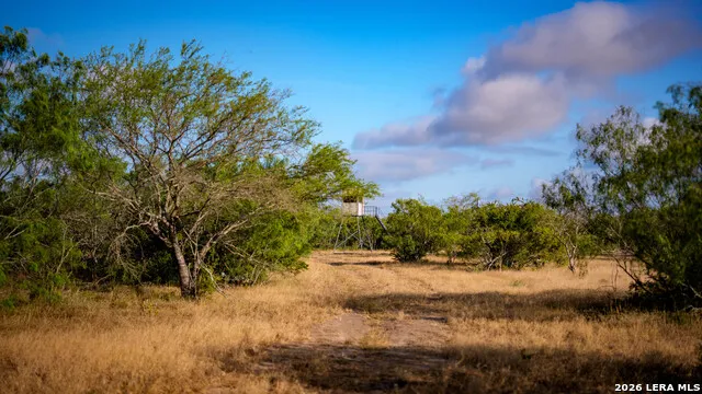 5775 County Road 308 Orange Grove, TX 78373
