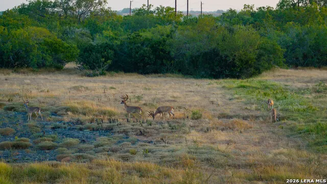 5775 County Road 308 Orange Grove, TX 78373