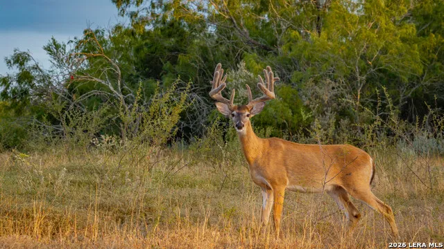 5775 County Road 308 Orange Grove, TX 78373