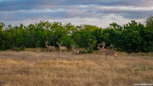 5775 County Road 308 Orange Grove, TX 78373