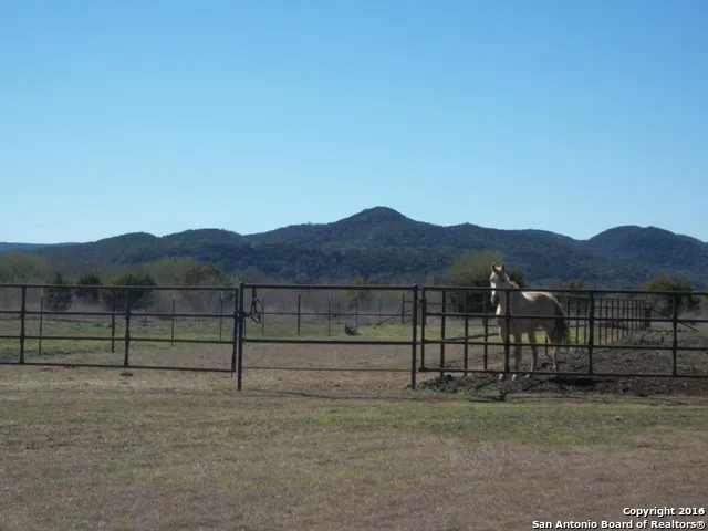 11217 FM 470 Tarpley, TX 78883