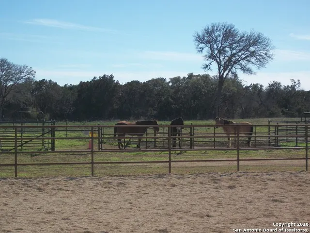 11217 FM 470 Tarpley, TX 78883