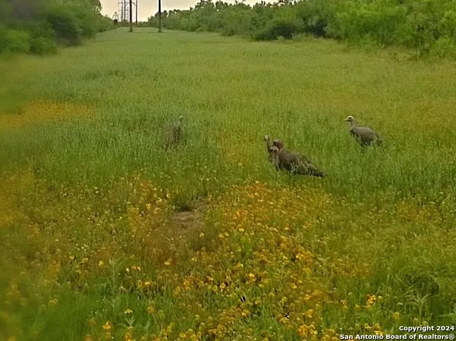 593 FM 481 Uvalde, TX 78801