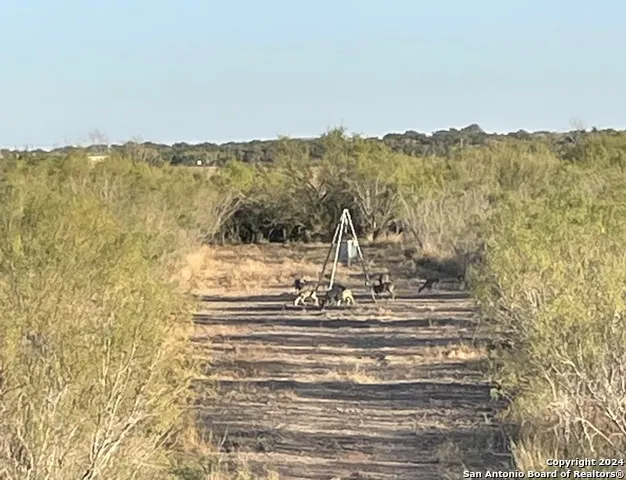593 FM 481 Uvalde, TX 78801