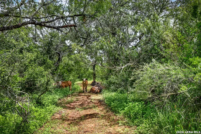 622 County Road 460 Stockdale, TX 78160