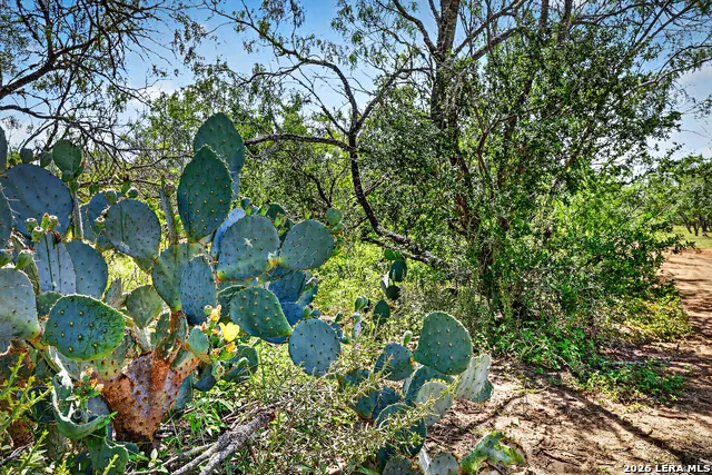 622 County Road 460 Stockdale, TX 78160